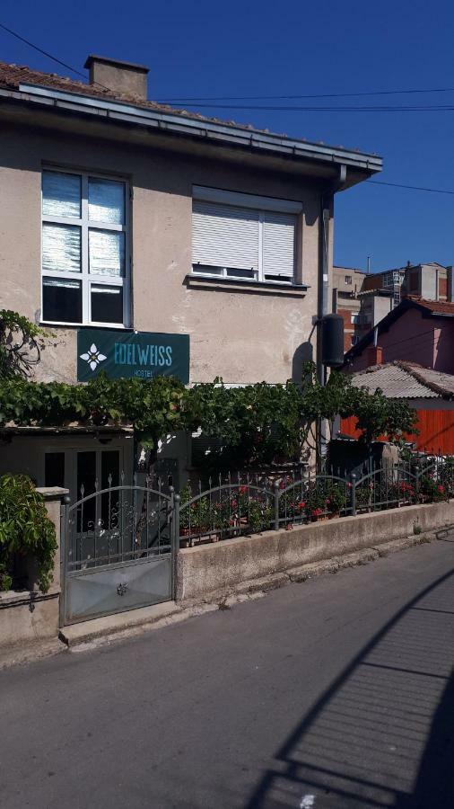 Edelweiss Hostel Stip Exterior photo